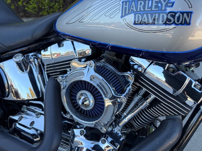 HARLEY-DAVIDSON 2008 HARLEY DAVIDSON 1584CC SOFTAIL CUSTOM Hunter Green