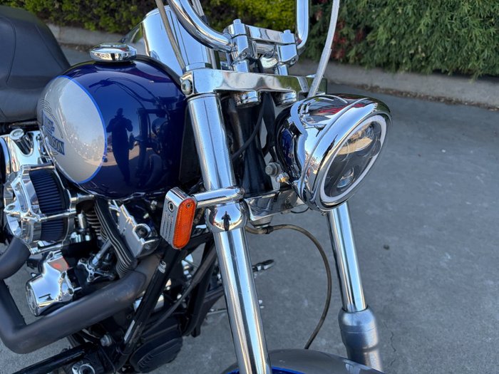 HARLEY-DAVIDSON 2008 HARLEY DAVIDSON 1584CC SOFTAIL CUSTOM Hunter Green