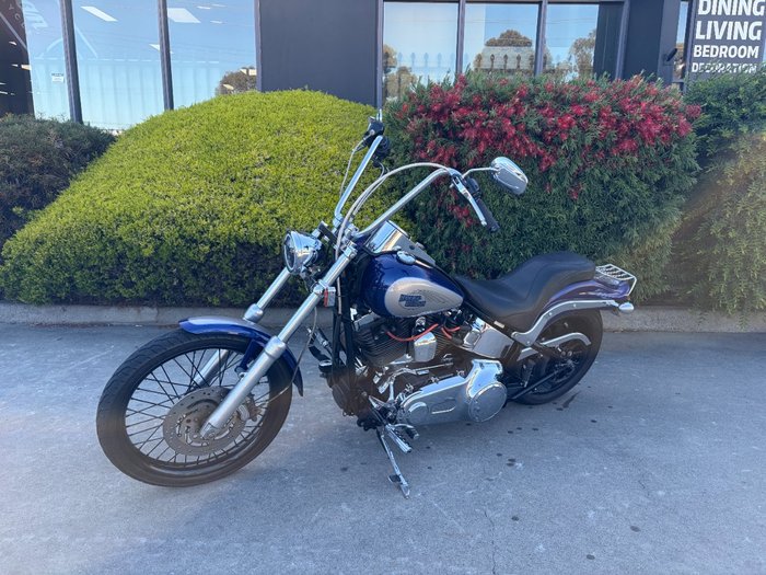 HARLEY-DAVIDSON 2008 HARLEY DAVIDSON 1584CC SOFTAIL CUSTOM Hunter Green