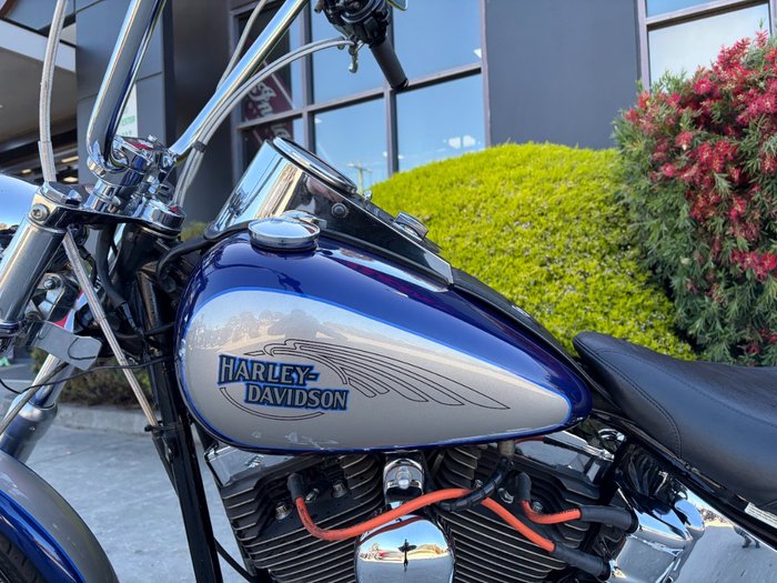 HARLEY-DAVIDSON 2008 HARLEY DAVIDSON 1584CC SOFTAIL CUSTOM Hunter Green