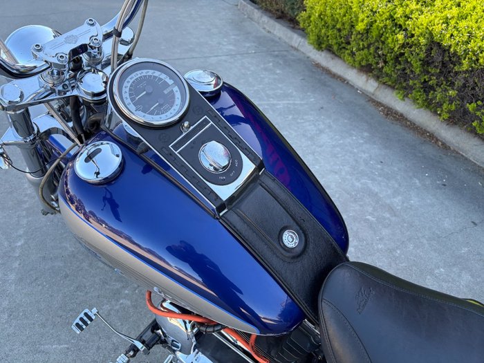 HARLEY-DAVIDSON 2008 HARLEY DAVIDSON 1584CC SOFTAIL CUSTOM Hunter Green