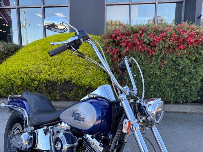 HARLEY-DAVIDSON 2008 HARLEY DAVIDSON 1584CC SOFTAIL CUSTOM Hunter Green