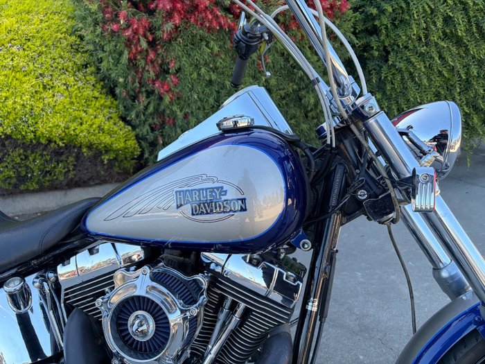 HARLEY-DAVIDSON 2008 HARLEY DAVIDSON 1584CC SOFTAIL CUSTOM Hunter Green