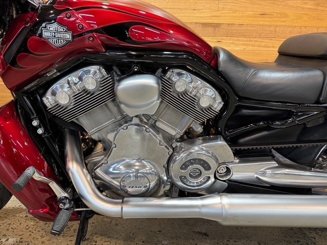 2015 Harley-davidson VRSCF MUSCLE Red