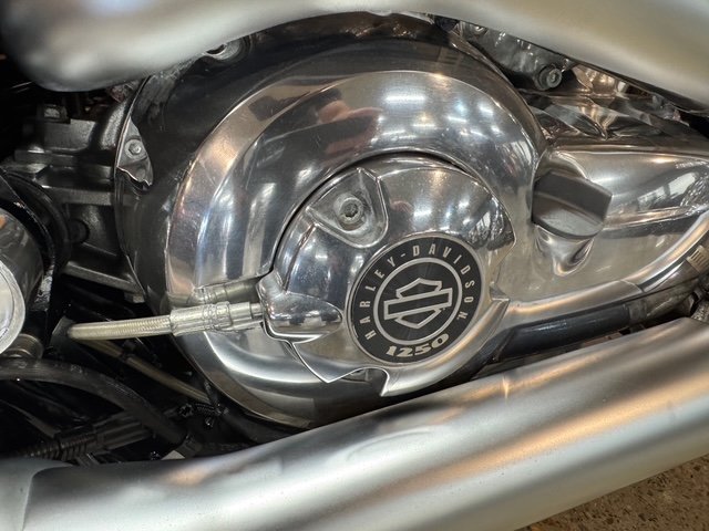 2015 Harley-davidson VRSCF MUSCLE Red