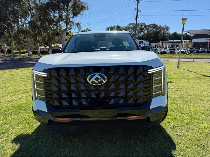 2025 LDV TERRON 9 EVOLVE