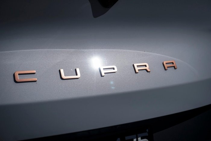 2025 CUPRA Tavascan Endurance