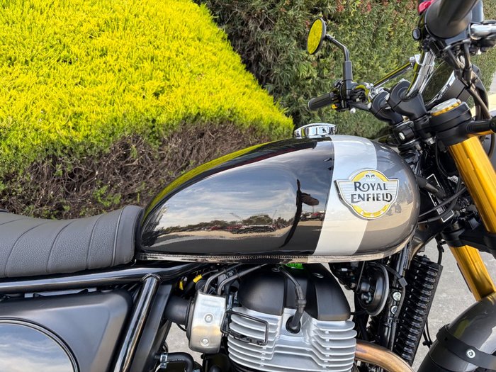 2026 Royal Enfield BEAR 650