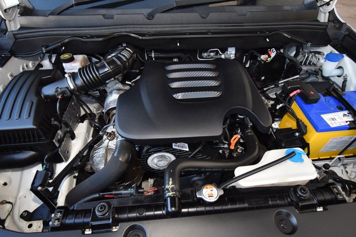 2022 GWM Ute Cannon-X