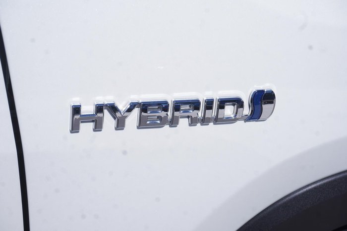 2020 Toyota RAV4 Cruiser