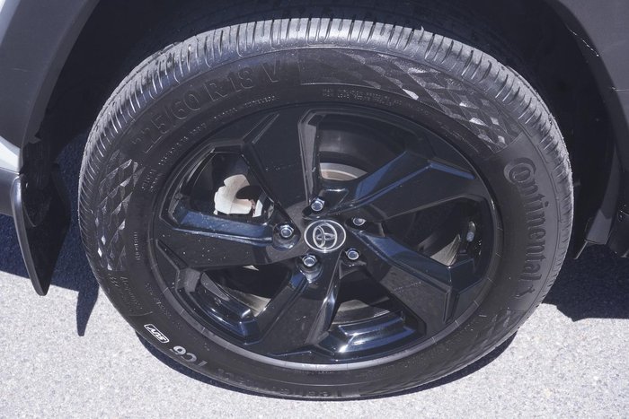 2020 Toyota RAV4 Cruiser