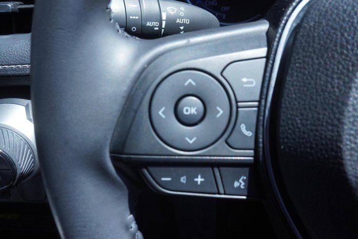 2020 Toyota RAV4 Cruiser