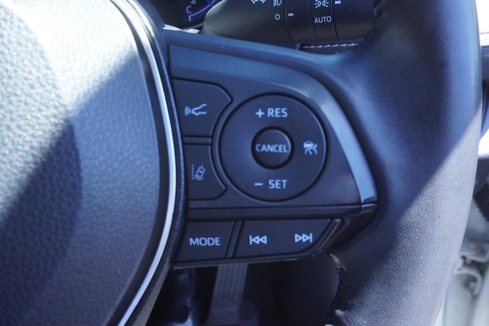 2020 Toyota RAV4 Cruiser