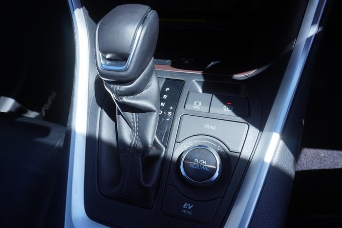 2020 Toyota RAV4 Cruiser