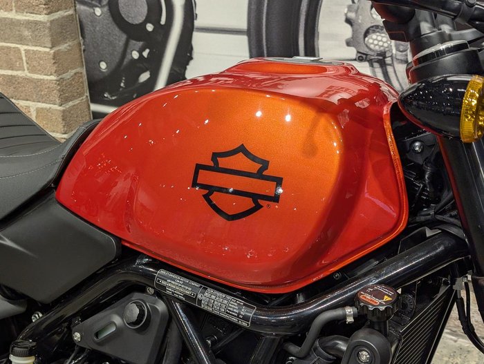 2024 Harley-Davidson X 500 X Orange