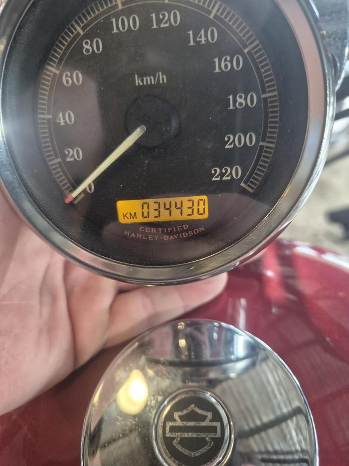 2005 Harley-Davidson Sportster (XL883)