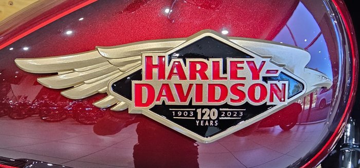 2023 HARLEY-DAVIDSON FLFBSANV FAT BOY S (114) ANNI