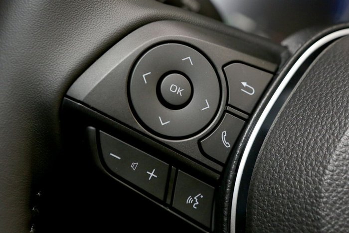 2025 Toyota RAV4 Cruiser