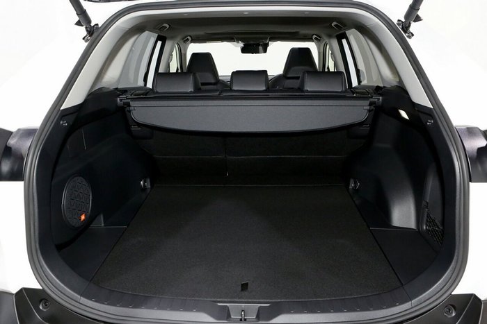 2025 Toyota RAV4 Cruiser