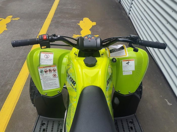 2026 Yamaha Raptor 110 (YFM110R) Raptor Green