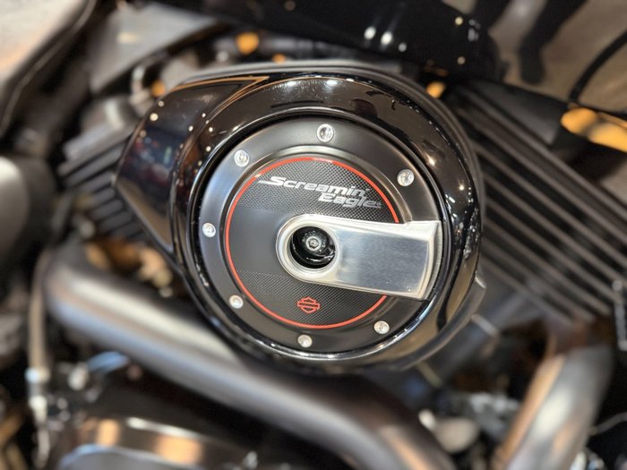 2019 Harley-davidson XG500 STREET 500 Black