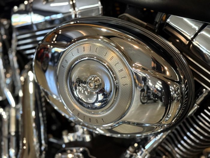 2009 Harley-davidson FLSTF FAT BOY Black