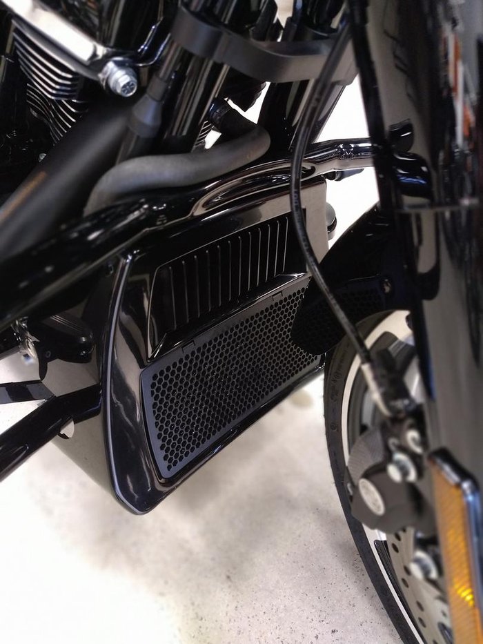 2025 Harley-Davidson Street Glide 117 (FLHX) Touring Black