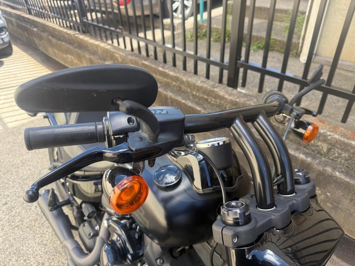 2019 Harley-Davidson Fat Bob 114 (FXFBS) Softail Black