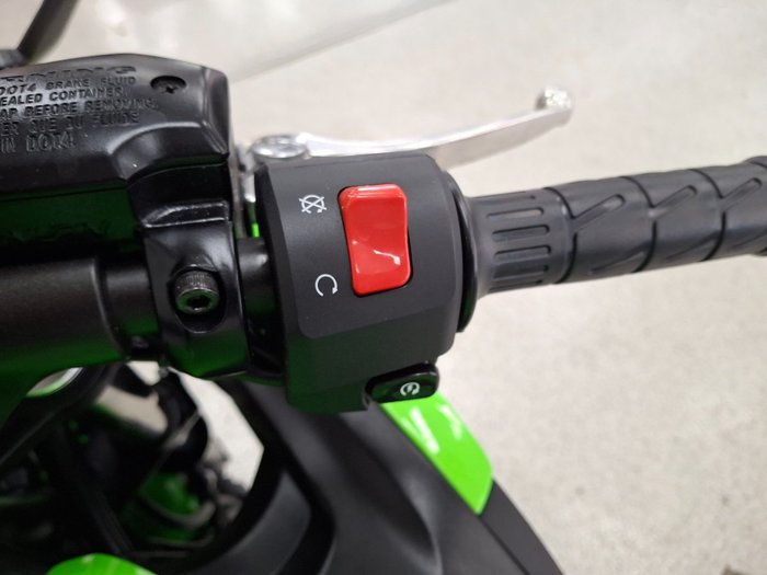 2025 Kawasaki NINJA 650L Green