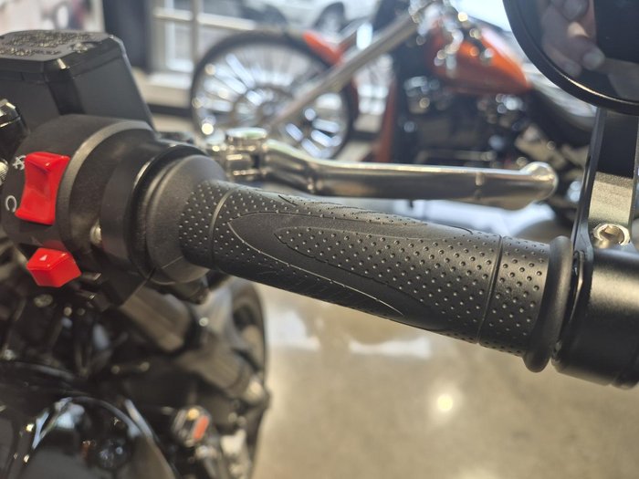 2024 Harley-Davidson X 500 X Black