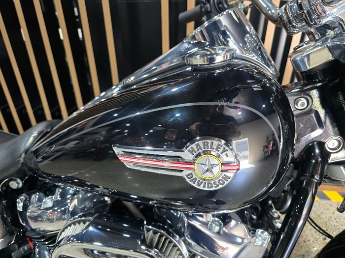 2024 Harley-Davidson FLFBS FAT BOY S (114)