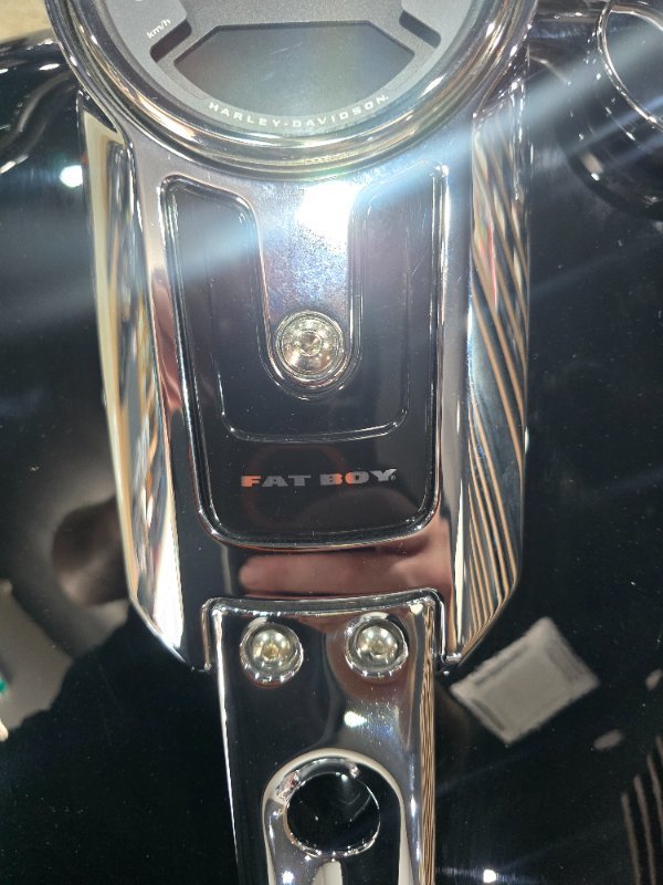 2024 Harley-Davidson FLFBS FAT BOY S (114)