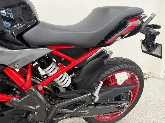 2024 BMW Motorrad G 310 R grey