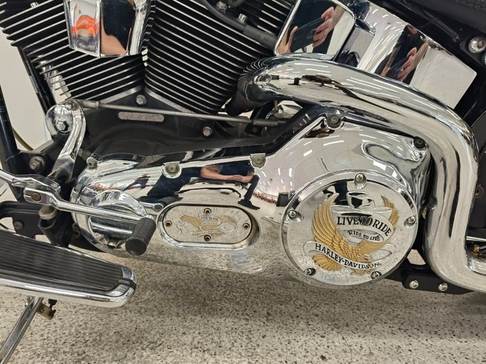 2006 Harley-davidson FLSTNI SOFTAIL DELUXE Blue