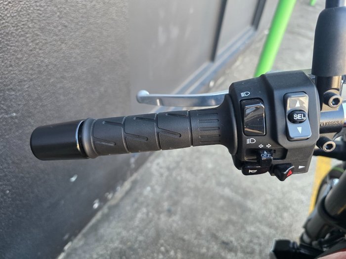 2019 Kawasaki Z900RS (ZR900C) BROWN