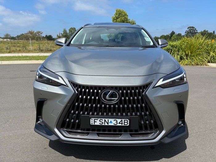 2024 Lexus NX 350h Luxury