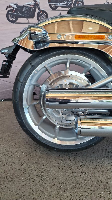 2025 Harley-davidson FLSTFI FAT BOY GRAY GHOST REFLECTION