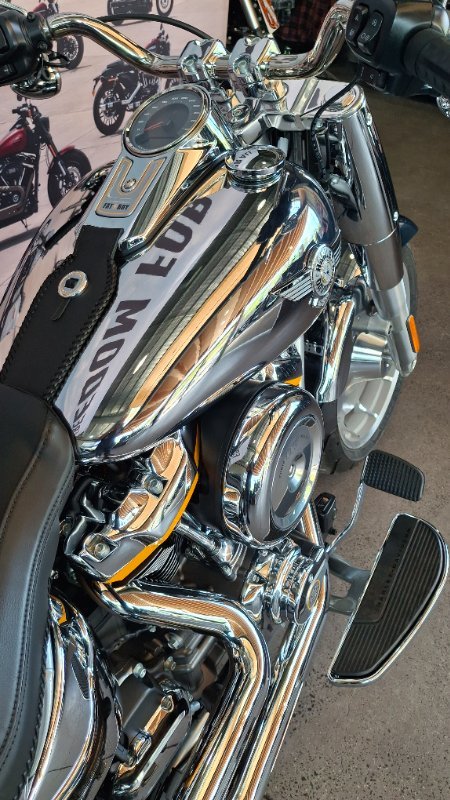 2025 Harley-davidson FLSTFI FAT BOY GRAY GHOST REFLECTION