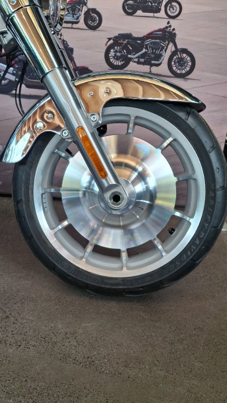 2025 Harley-davidson FLSTFI FAT BOY GRAY GHOST REFLECTION