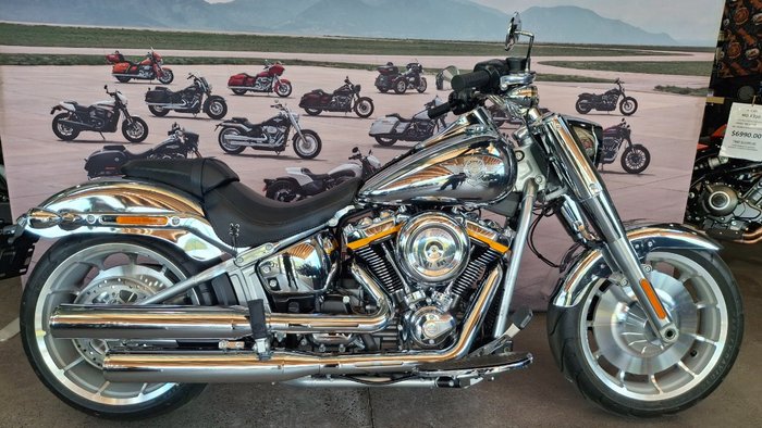 2025 Harley-davidson FLSTFI FAT BOY GRAY GHOST REFLECTION