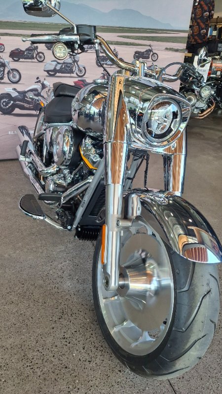 2025 Harley-davidson FLSTFI FAT BOY GRAY GHOST REFLECTION