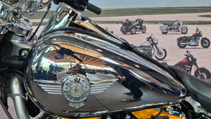 2025 Harley-davidson FLSTFI FAT BOY GRAY GHOST REFLECTION