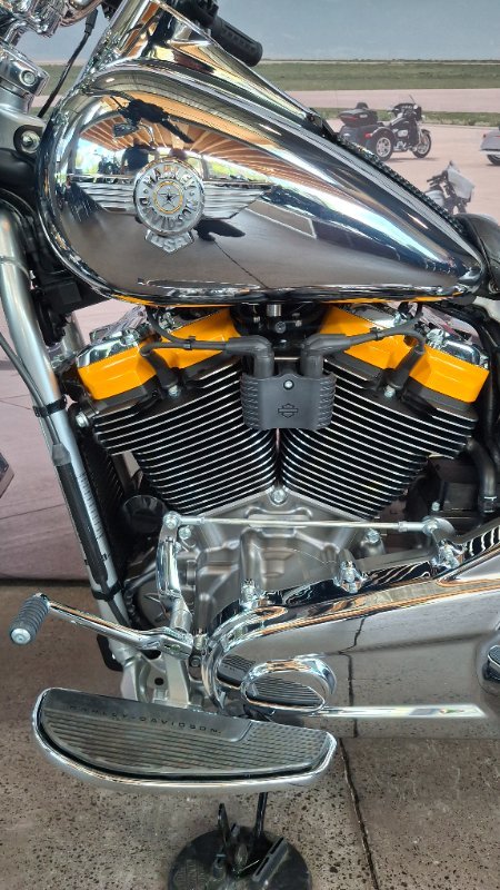 2025 Harley-davidson FLSTFI FAT BOY GRAY GHOST REFLECTION