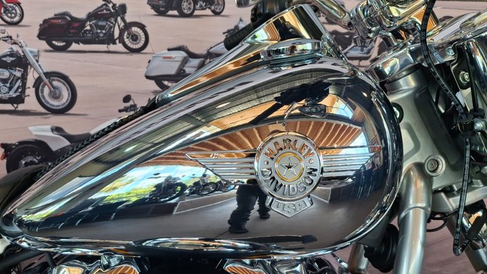 2025 Harley-davidson FLSTFI FAT BOY GRAY GHOST REFLECTION