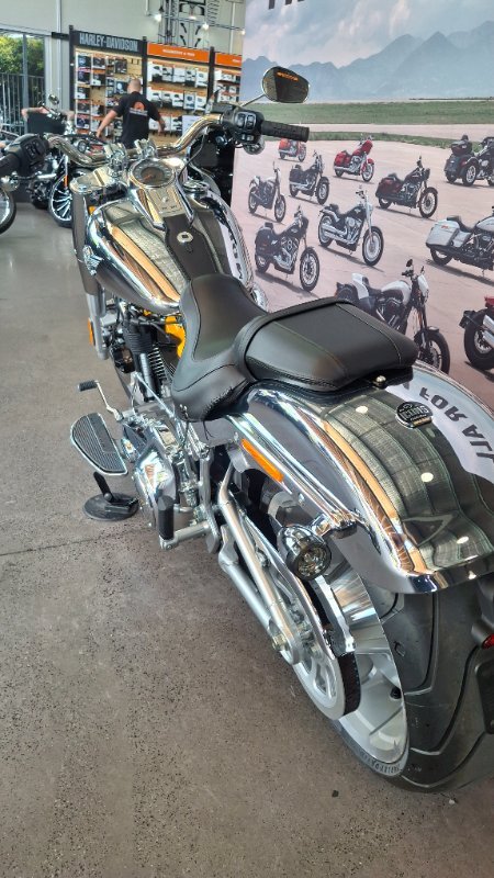 2025 Harley-davidson FLSTFI FAT BOY GRAY GHOST REFLECTION