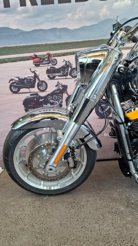 2025 Harley-davidson FLSTFI FAT BOY GRAY GHOST REFLECTION