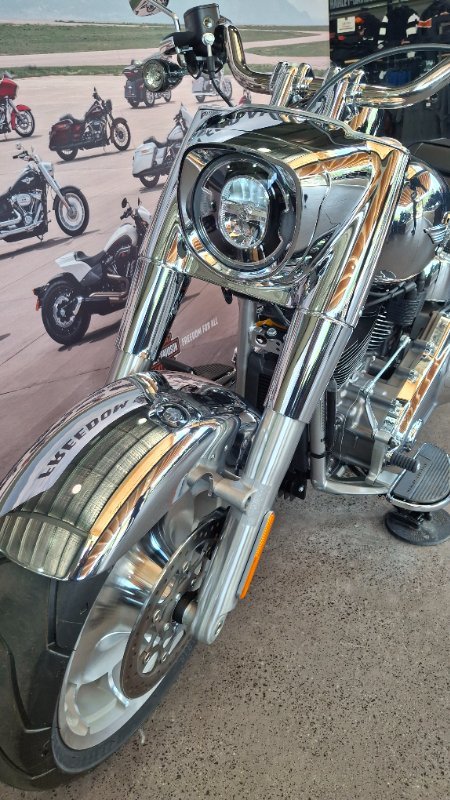 2025 Harley-davidson FLSTFI FAT BOY GRAY GHOST REFLECTION