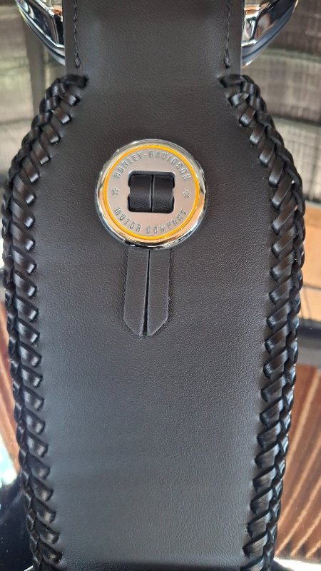 2025 Harley-davidson FLSTFI FAT BOY GRAY GHOST REFLECTION