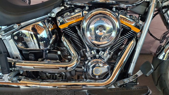 2025 Harley-davidson FLSTFI FAT BOY GRAY GHOST REFLECTION