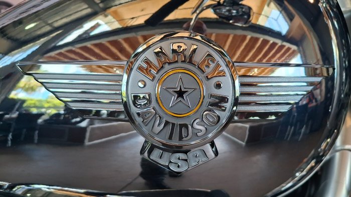 2025 Harley-davidson FLSTFI FAT BOY GRAY GHOST REFLECTION